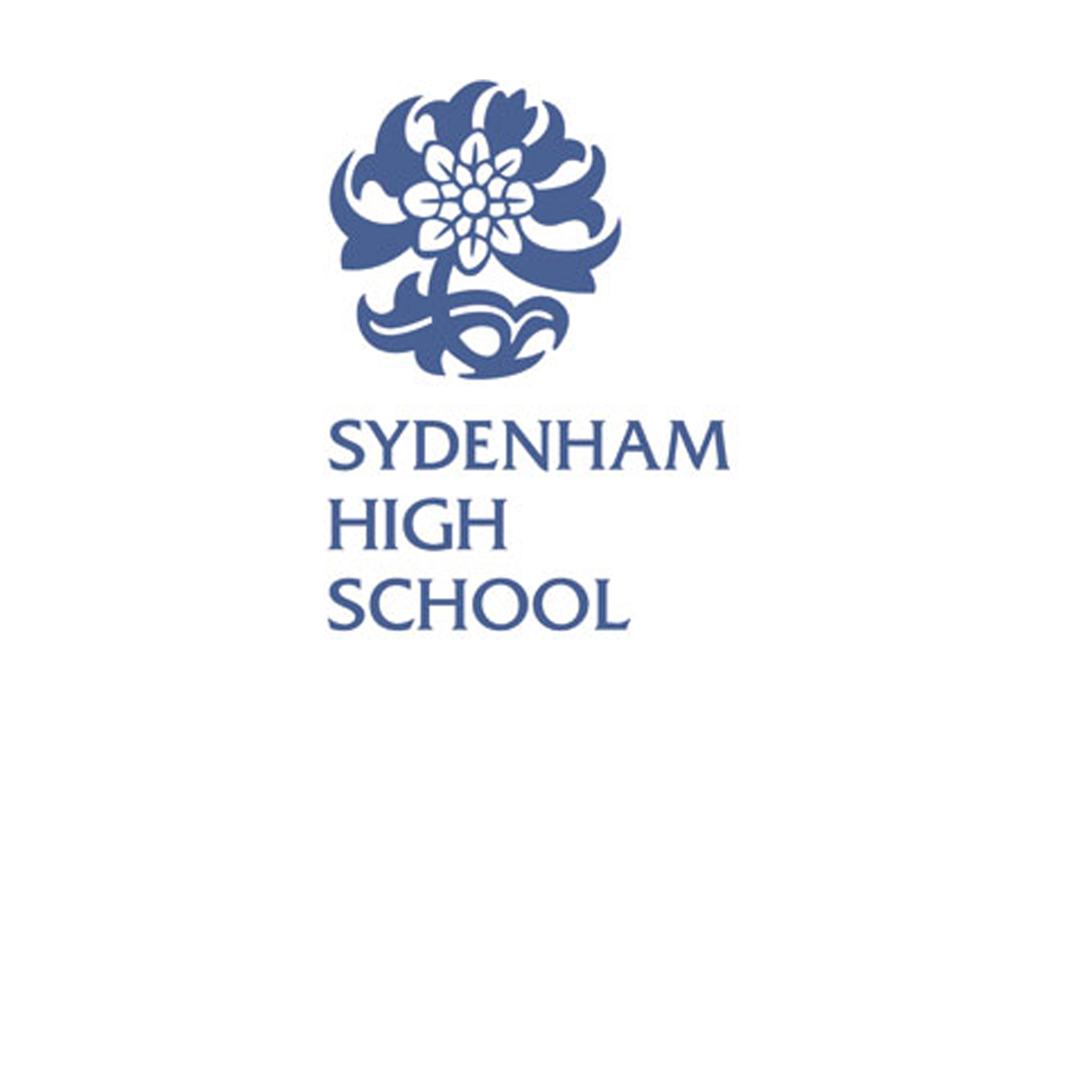 Sydenham: 11+ Maths [312]